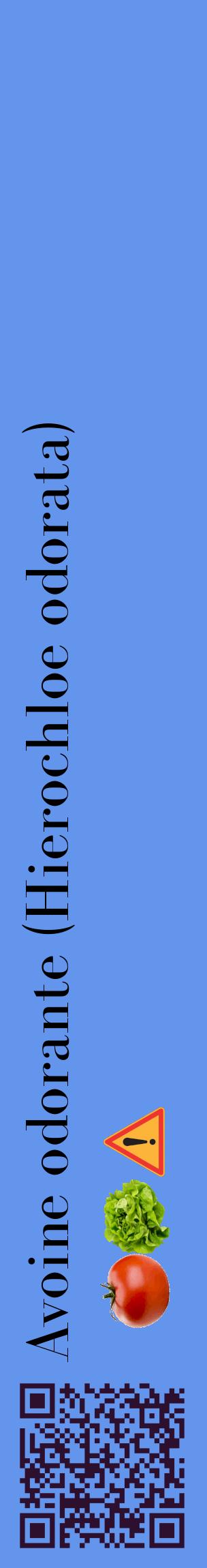 Étiquette de : Hierochloe odorata - format c - style noire4_basiquebod avec qrcode et comestibilité simplifiée