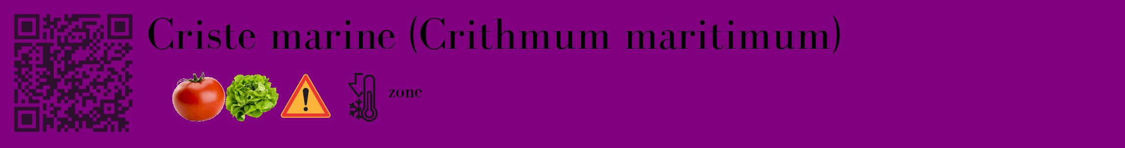 Étiquette de : Crithmum maritimum - format c - style noire46_basique_basiquebod avec qrcode et comestibilité simplifiée