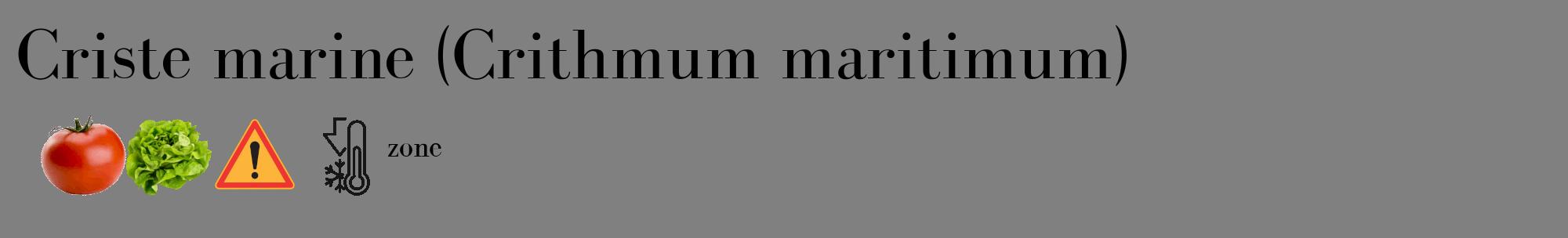 Étiquette de : Crithmum maritimum - format c - style noire57_basique_basiquebod avec comestibilité simplifiée