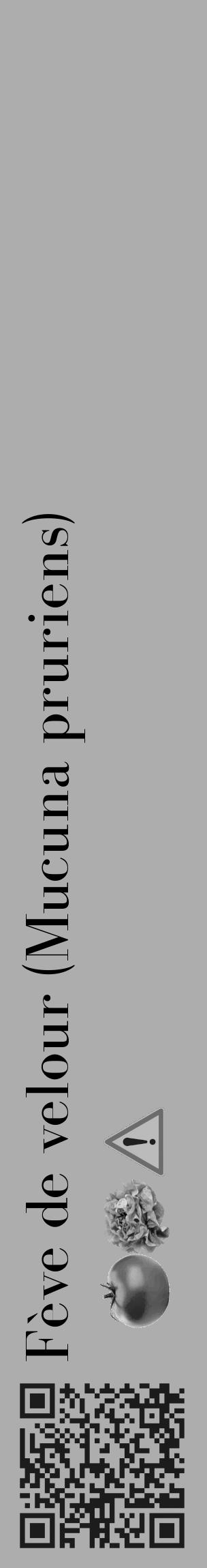Étiquette de : Mucuna pruriens - format c - style noire22_basique_basiquebod avec qrcode et comestibilité simplifiée - position verticale