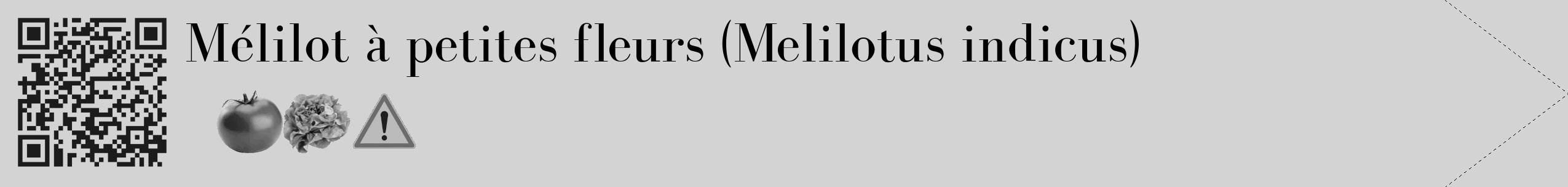 Étiquette de : Melilotus indicus - format c - style noire56_simple_simplebod avec qrcode et comestibilité simplifiée