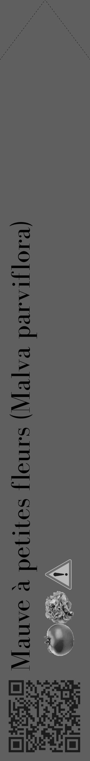Étiquette de : Malva parviflora - format c - style noire10_simple_simplebod avec qrcode et comestibilité simplifiée - position verticale