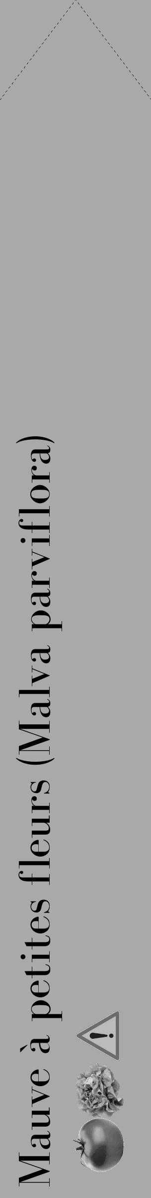 Étiquette de : Malva parviflora - format c - style noire13_simple_simplebod avec comestibilité simplifiée - position verticale
