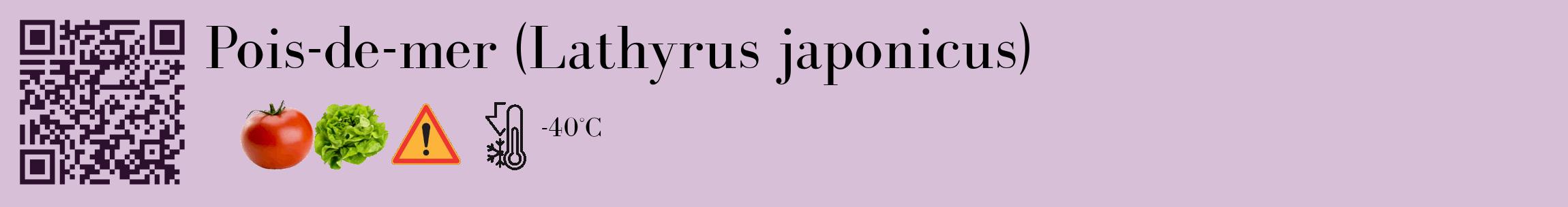 Étiquette de : Lathyrus japonicus - format c - style noire54_basique_basiquebod avec qrcode et comestibilité simplifiée