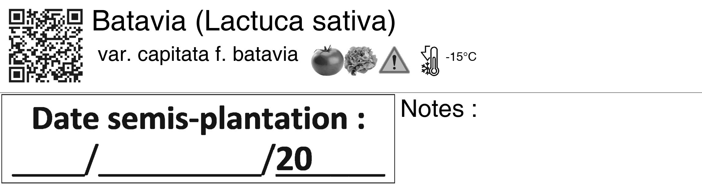 Étiquette de : Lactuca sativa var. capitata f. batavia - format c - style noire60_basiquegrrvhel avec qrcode et comestibilité simplifiée