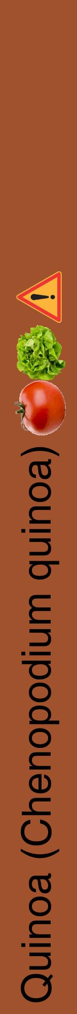 Étiquette de : Chenopodium quinoa - format a - style noire32hel avec comestibilité simplifiée