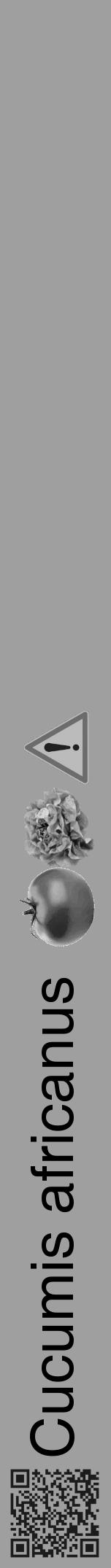 Étiquette de : Cucumis africanus - format a - style noire24hel avec qrcode et comestibilité simplifiée - position verticale