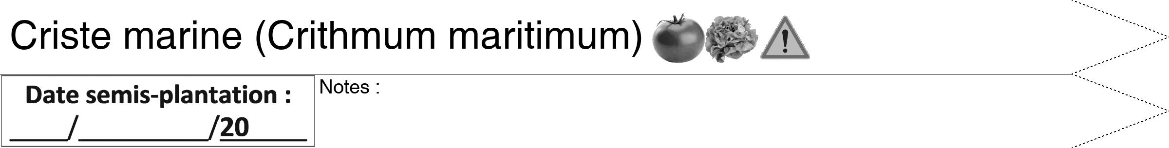 Étiquette de : Crithmum maritimum - format b - style noire60hel avec comestibilité simplifiée