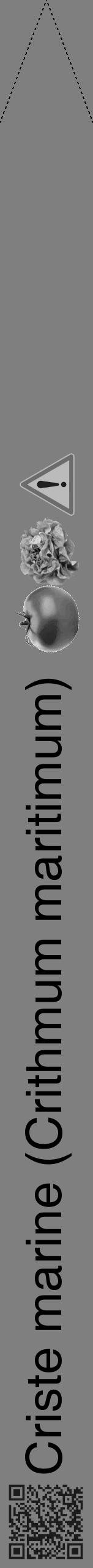 Étiquette de : Crithmum maritimum - format b - style noire31hel avec qrcode et comestibilité simplifiée - position verticale