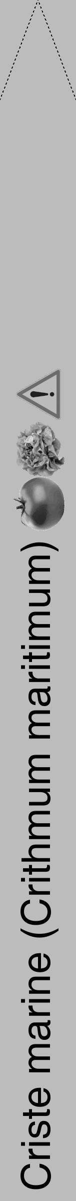 Étiquette de : Crithmum maritimum - format b - style noire1hel avec comestibilité simplifiée - position verticale