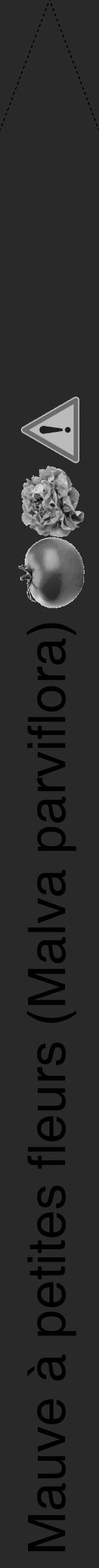 Étiquette de : Malva parviflora - format b - style noire34hel avec comestibilité simplifiée - position verticale