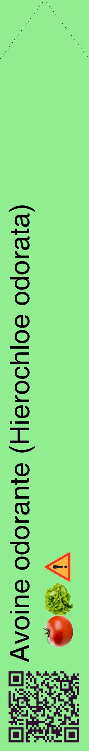 Étiquette de : Hierochloe odorata - format c - style noire15_simplehel avec qrcode et comestibilité simplifiée