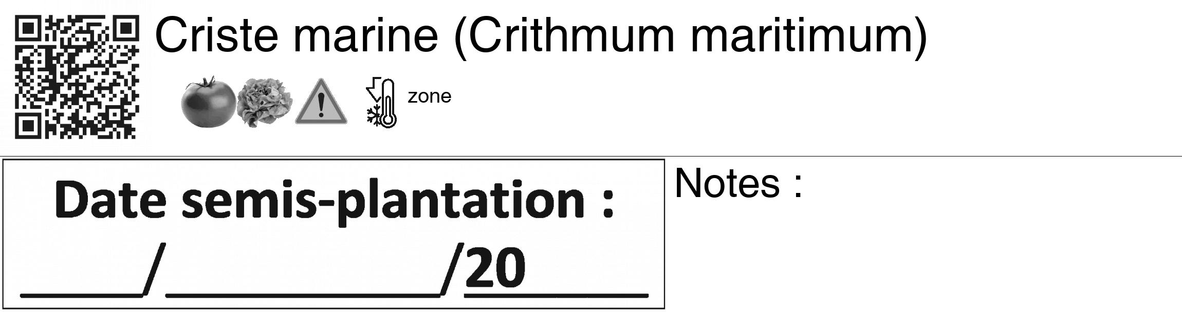Étiquette de : Crithmum maritimum - format c - style noire60_basiquegrrvhel avec qrcode et comestibilité simplifiée