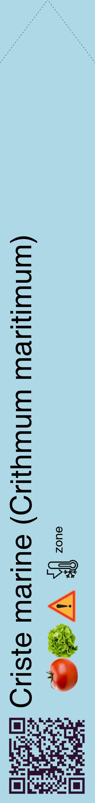 Étiquette de : Crithmum maritimum - format c - style noire0_simple_simplehel avec qrcode et comestibilité simplifiée - position verticale