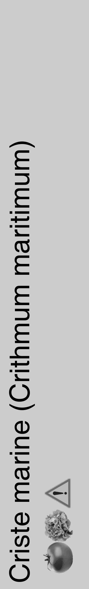 Étiquette de : Crithmum maritimum - format c - style noire0_basique_basiquehel avec comestibilité simplifiée - position verticale