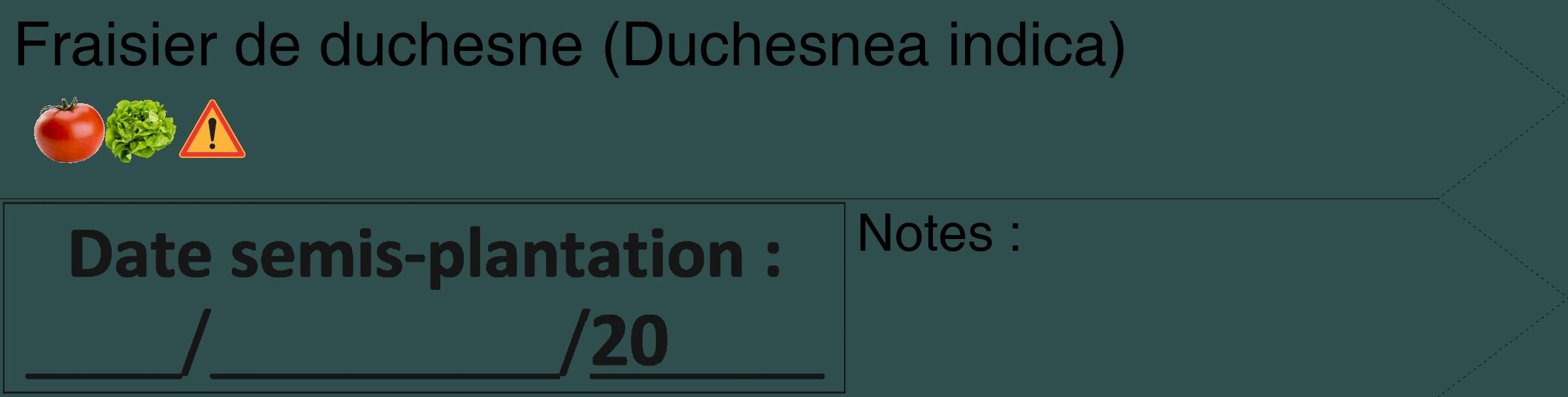 Étiquette de : Duchesnea indica - format c - style noire58_simple_simplehel avec comestibilité simplifiée