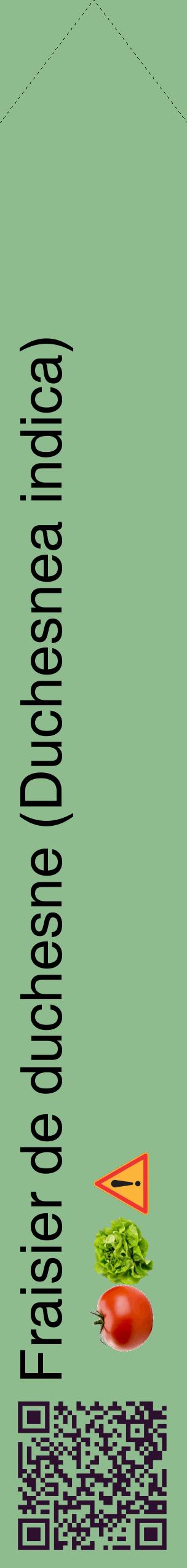 Étiquette de : Duchesnea indica - format c - style noire13_simplehel avec qrcode et comestibilité simplifiée