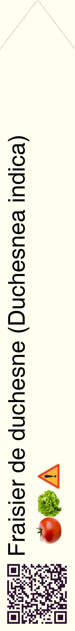 Étiquette de : Duchesnea indica - format c - style noire19_simplehel avec qrcode et comestibilité simplifiée
