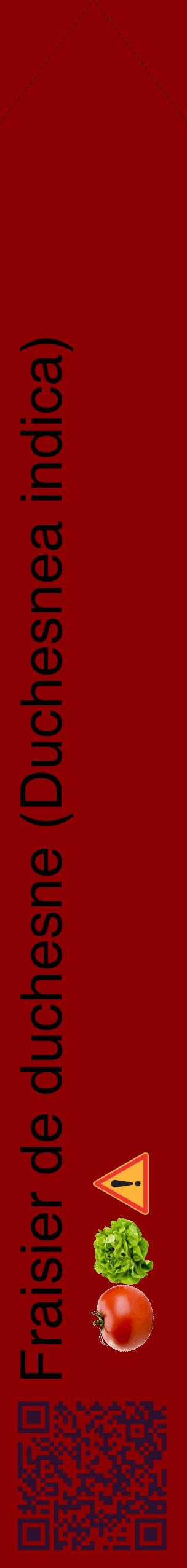 Étiquette de : Duchesnea indica - format c - style noire34_simplehel avec qrcode et comestibilité simplifiée