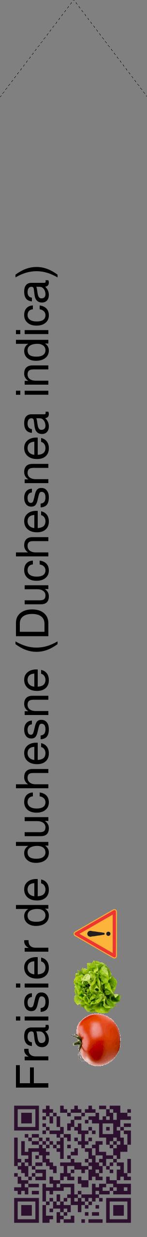 Étiquette de : Duchesnea indica - format c - style noire57_simplehel avec qrcode et comestibilité simplifiée