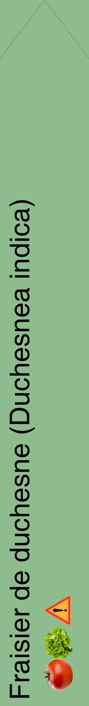 Étiquette de : Duchesnea indica - format c - style noire13_simplehel avec comestibilité simplifiée