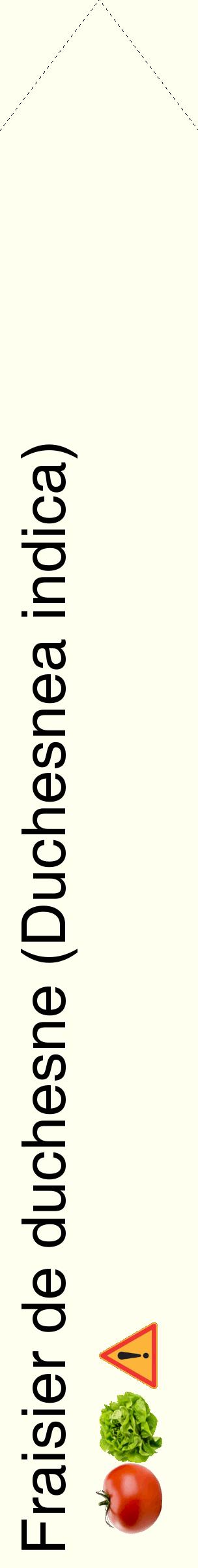 Étiquette de : Duchesnea indica - format c - style noire19_simplehel avec comestibilité simplifiée