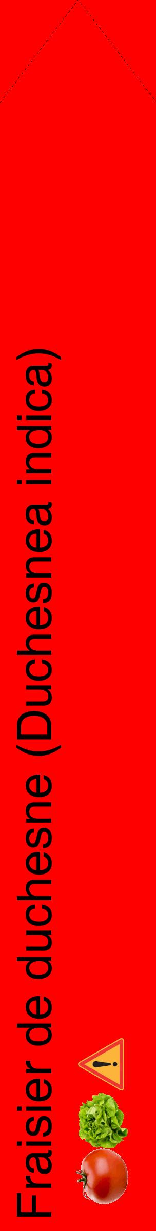 Étiquette de : Duchesnea indica - format c - style noire27_simplehel avec comestibilité simplifiée