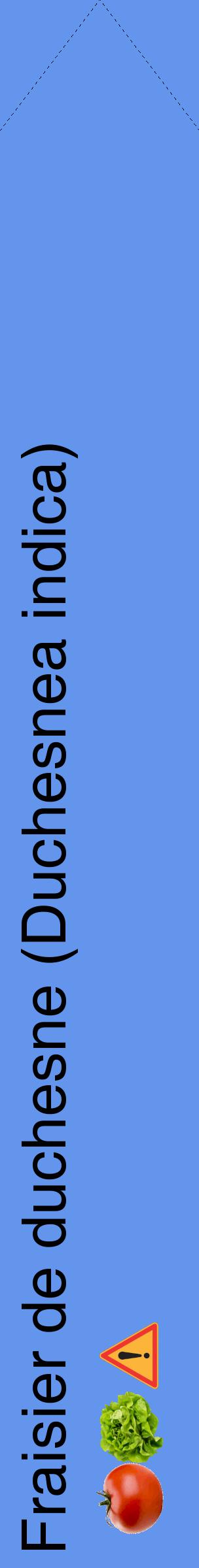Étiquette de : Duchesnea indica - format c - style noire4_simplehel avec comestibilité simplifiée