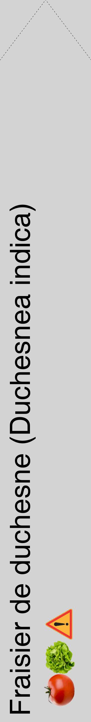 Étiquette de : Duchesnea indica - format c - style noire56_simplehel avec comestibilité simplifiée