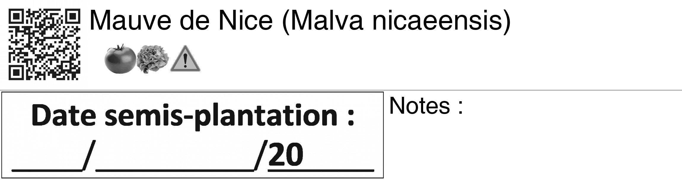 Étiquette de : Malva nicaeensis - format c - style noire60_basiquegrrvhel avec qrcode et comestibilité simplifiée