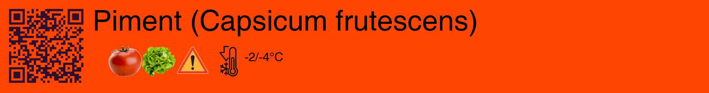 Étiquette de : Capsicum frutescens - format c - style noire26_basique_basiquehel avec qrcode et comestibilité simplifiée