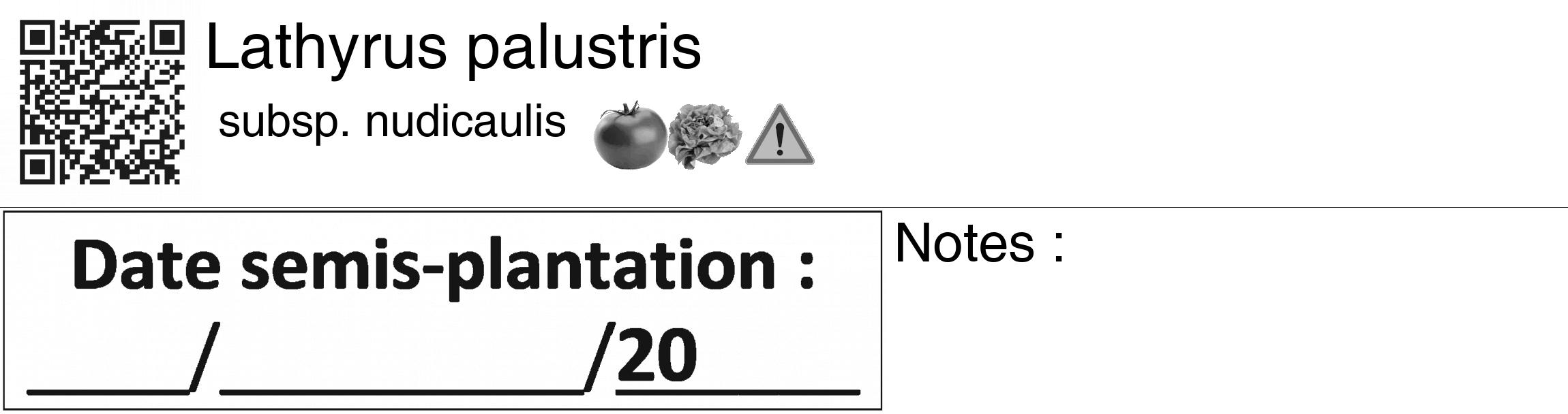Étiquette de : Lathyrus palustris subsp. nudicaulis - format c - style noire60_basiquegrrvhel avec qrcode et comestibilité simplifiée