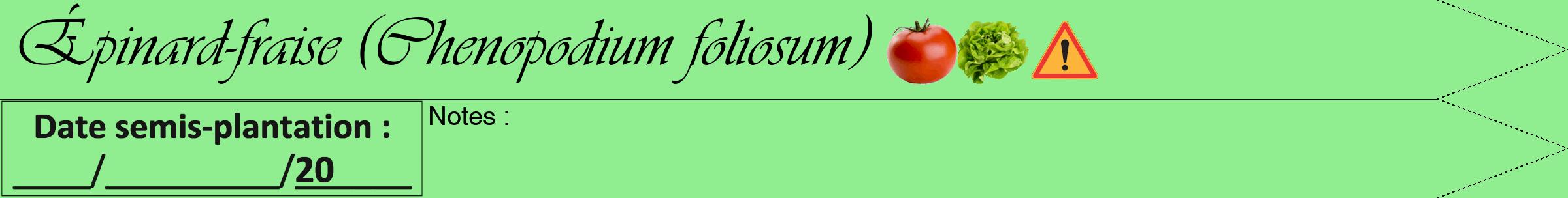 Étiquette de : Chenopodium foliosum - format a - style noire15simpleviv avec comestibilité simplifiée