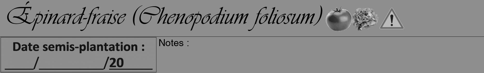 Étiquette de : Chenopodium foliosum - format a - style noire25viv avec comestibilité simplifiée