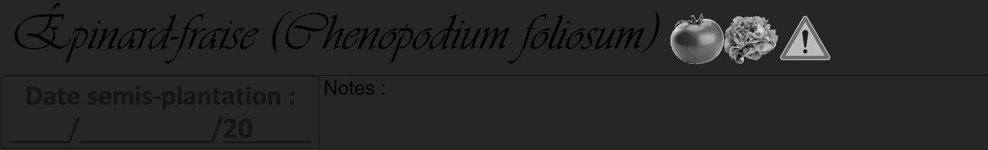 Étiquette de : Chenopodium foliosum - format a - style noire29viv avec comestibilité simplifiée