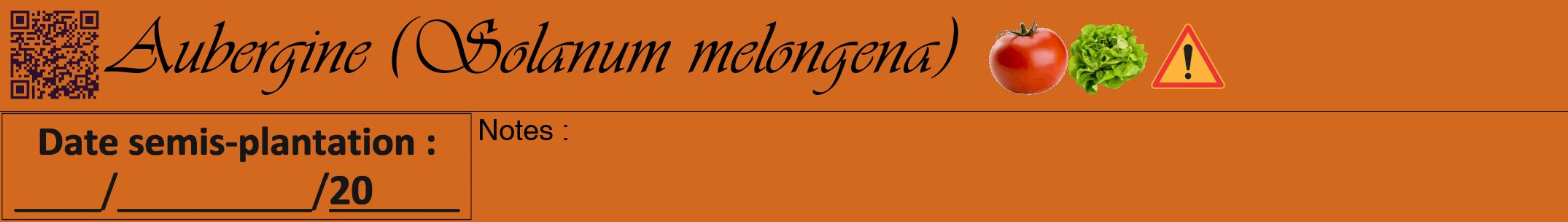 Étiquette de : Solanum melongena - format a - style noire31viv avec qrcode et comestibilité simplifiée