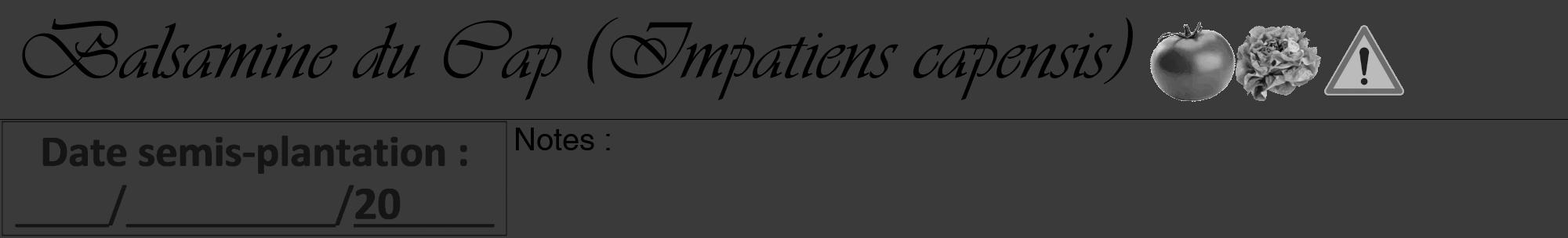 Étiquette de : Impatiens capensis - format a - style noire8viv avec comestibilité simplifiée