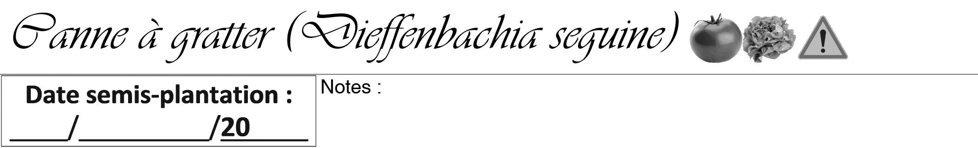Étiquette de : Dieffenbachia seguine - format a - style noire60viv avec comestibilité simplifiée