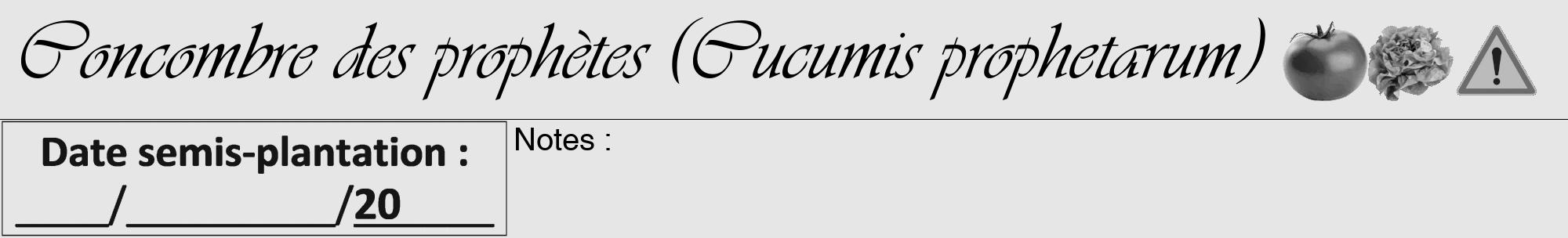 Étiquette de : Cucumis prophetarum - format a - style noire18viv avec comestibilité simplifiée