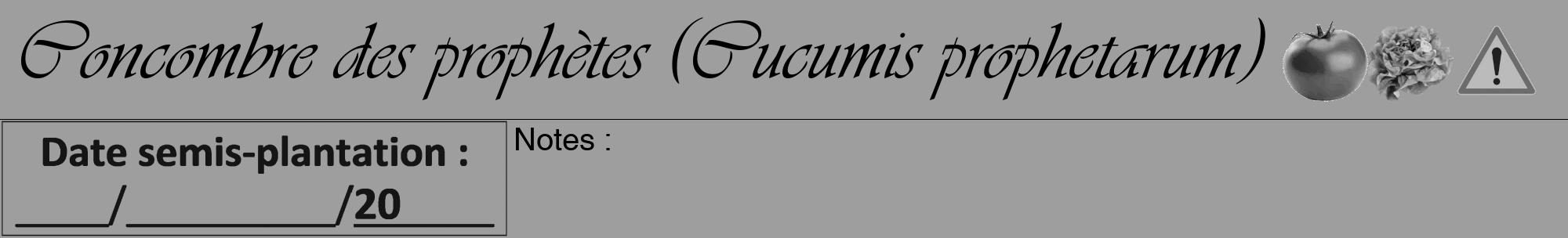 Étiquette de : Cucumis prophetarum - format a - style noire23viv avec comestibilité simplifiée