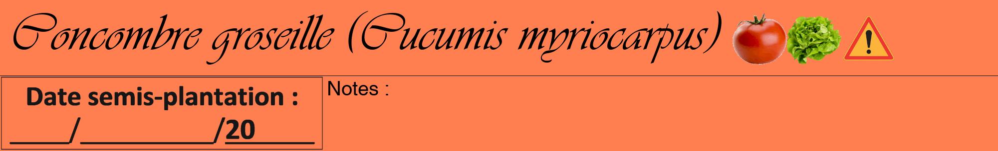 Étiquette de : Cucumis myriocarpus - format a - style noire24viv avec comestibilité simplifiée