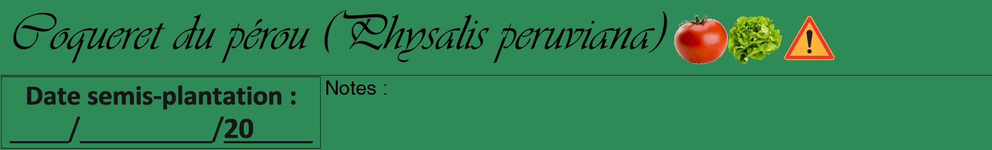 Étiquette de : Physalis peruviana - format a - style noire11viv avec comestibilité simplifiée