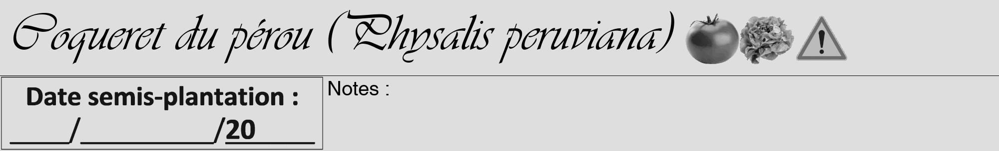 Étiquette de : Physalis peruviana - format a - style noire20viv avec comestibilité simplifiée