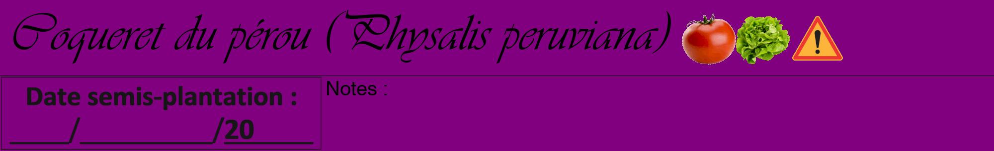 Étiquette de : Physalis peruviana - format a - style noire46viv avec comestibilité simplifiée
