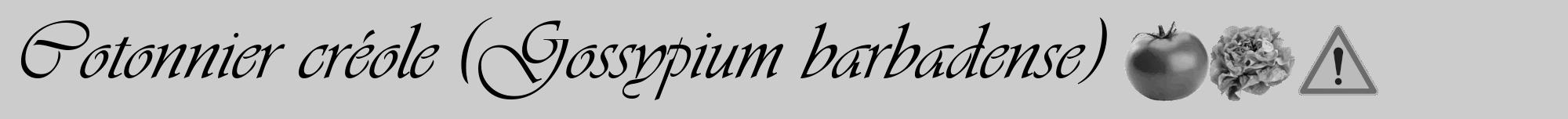 Étiquette de : Gossypium barbadense - format a - style noire0viv avec comestibilité simplifiée