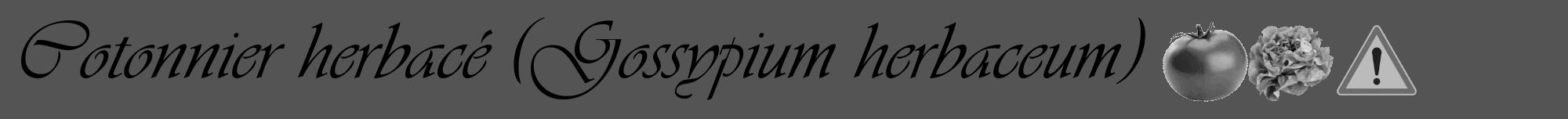 Étiquette de : Gossypium herbaceum - format a - style noire36viv avec comestibilité simplifiée