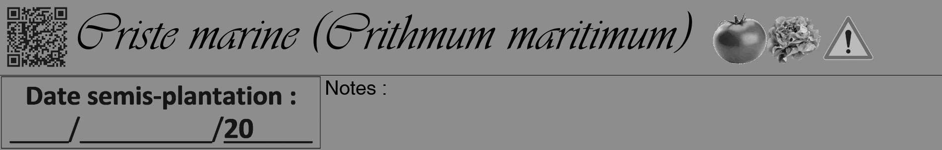 Étiquette de : Crithmum maritimum - format a - style noire2basiqueviv avec qrcode et comestibilité simplifiée