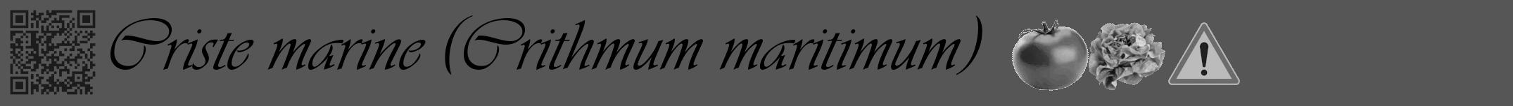 Étiquette de : Crithmum maritimum - format a - style noire45viv avec qrcode et comestibilité simplifiée