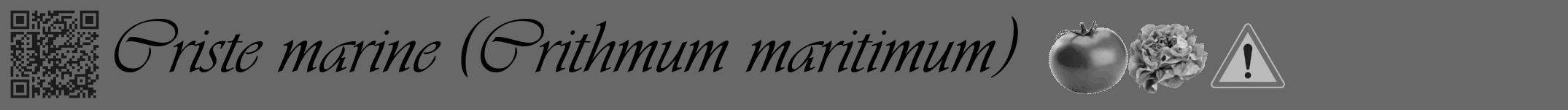 Étiquette de : Crithmum maritimum - format a - style noire6viv avec qrcode et comestibilité simplifiée