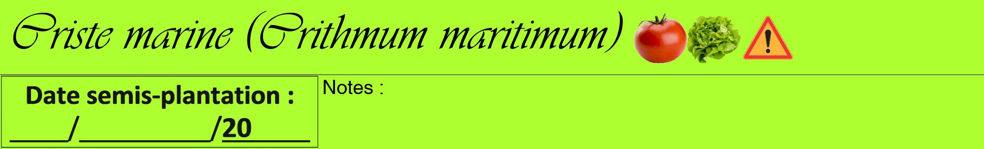 Étiquette de : Crithmum maritimum - format a - style noire17viv avec comestibilité simplifiée